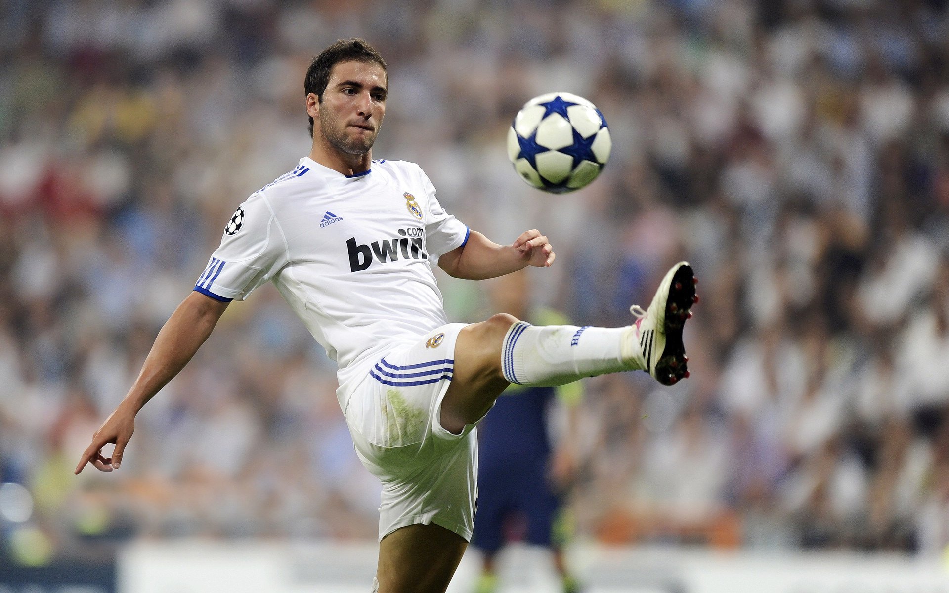 骑士防守强化赛季目标明晰，骑士防守悍将